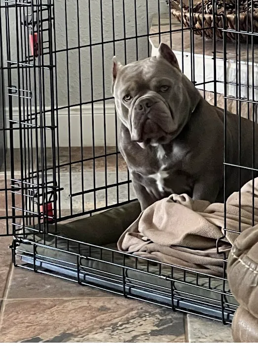 Animal Medical Center of Baytown Picture 10