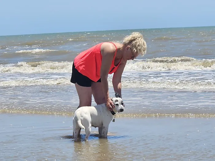 Winnie Veterinary Clinic Picture 3