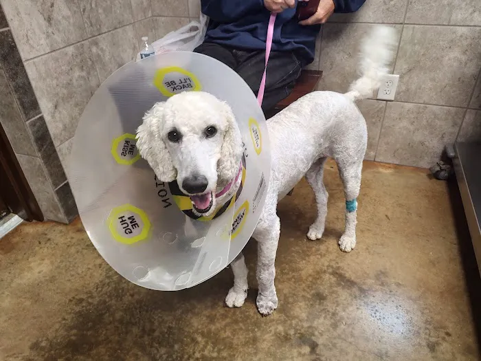 Winnie Veterinary Clinic Picture 1