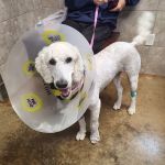 Winnie Veterinary Clinic