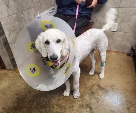 Winnie Veterinary Clinic