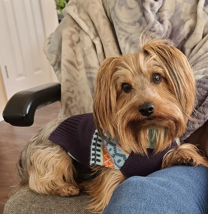 Winnie Veterinary Clinic Picture 5