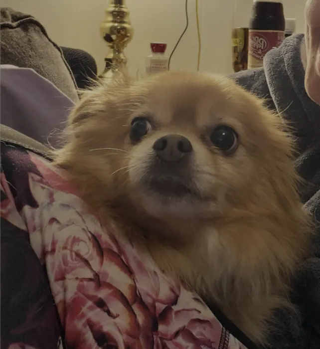 Winnie Veterinary Clinic Picture 10