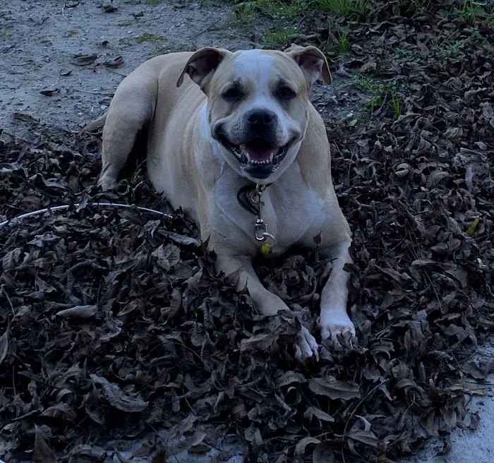 Winnie Veterinary Clinic Picture 7