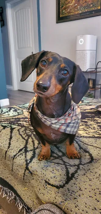 Winnie Veterinary Clinic Picture 8