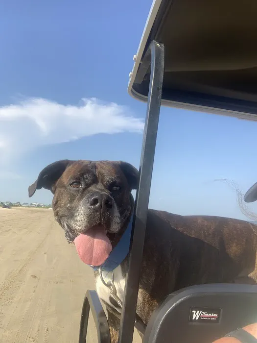 Winnie Veterinary Clinic Picture 6