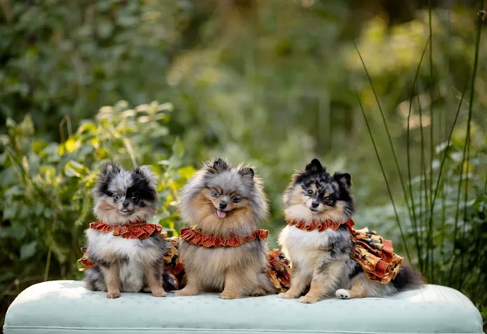 Robertson County Veterinary Picture 2