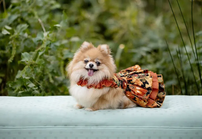 Robertson County Veterinary Picture 1