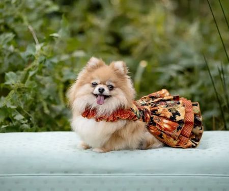 Robertson County Veterinary