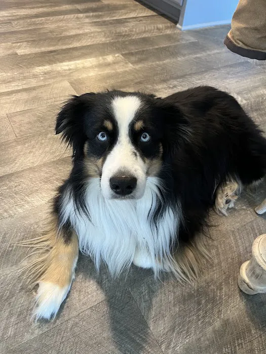 Robertson County Veterinary Picture 7