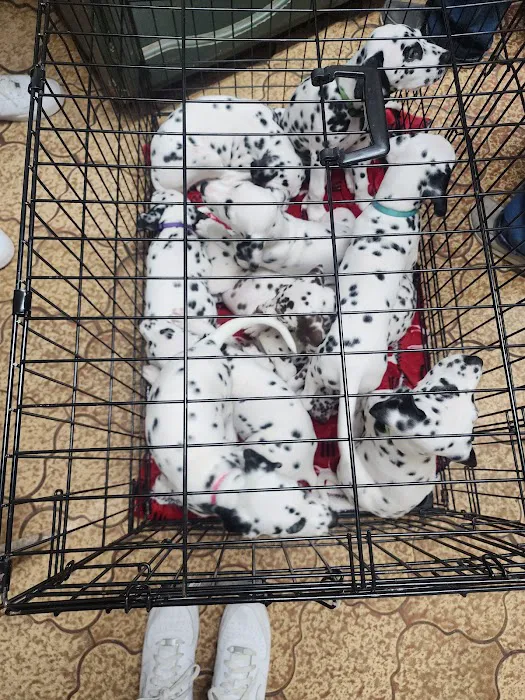 Robertson County Veterinary Picture 5