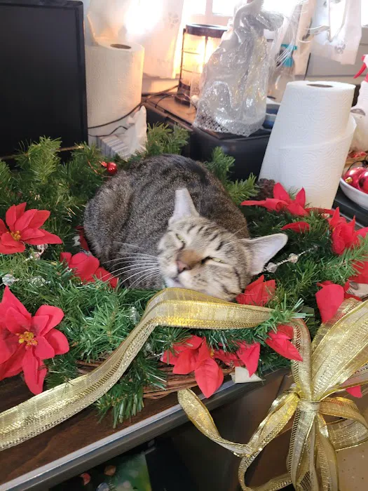 Brinlee Vet Services Picture 3