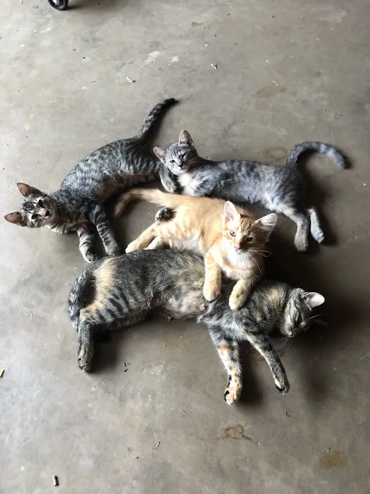 Brinlee Vet Services Picture 1