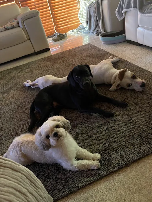 Brinlee Vet Services Picture 4