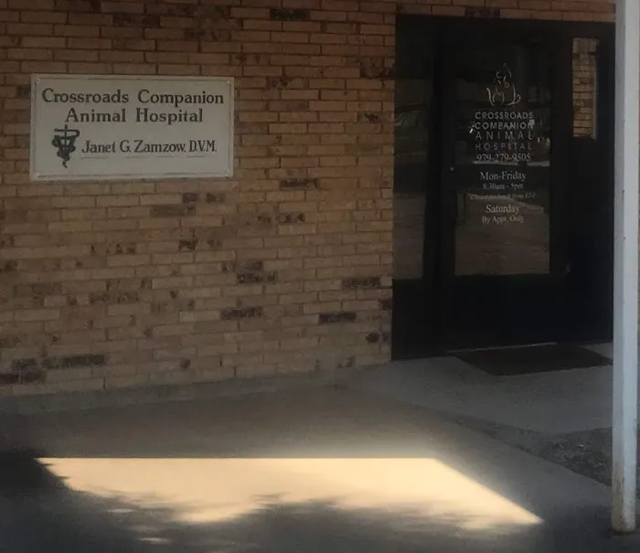 Crossroads Companion Animal Hospital Picture 1