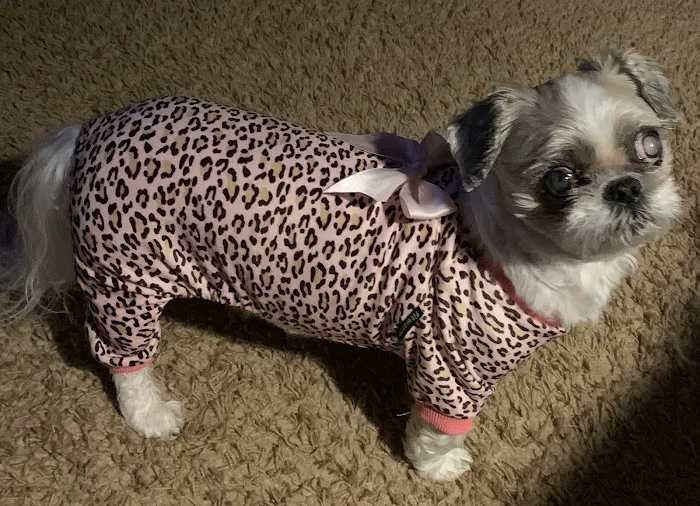 Central Animal Clinic Picture 1