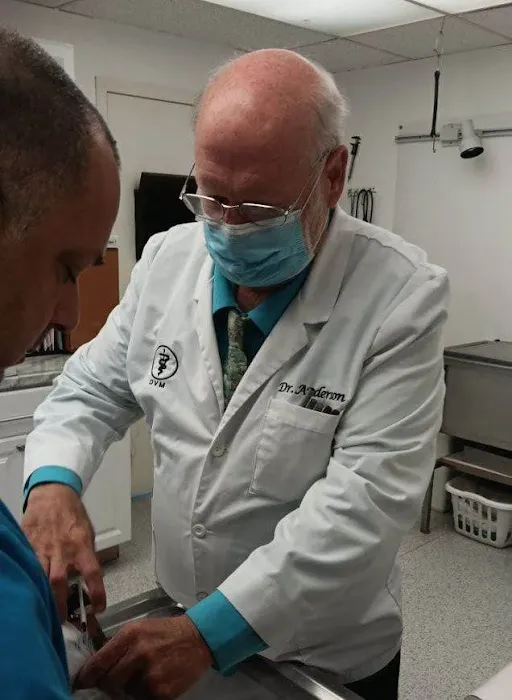 Central Animal Clinic Picture 4