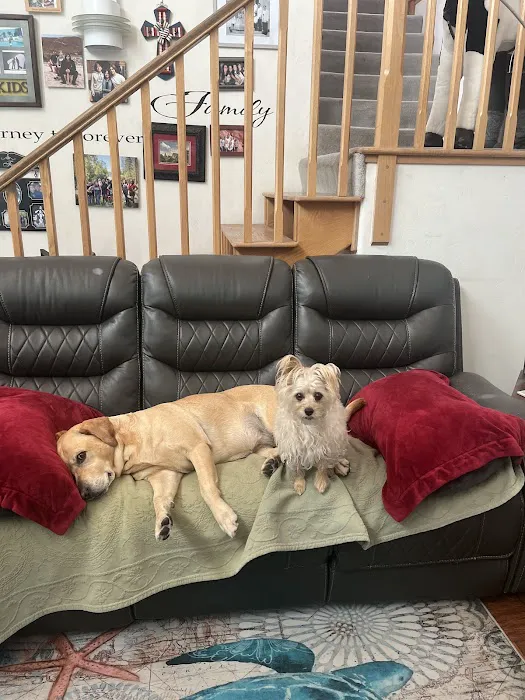 Banfield Pet Hospital Picture 6