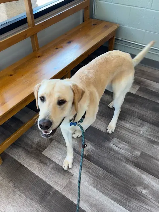 Sycamore Veterinary Hospital Picture 4