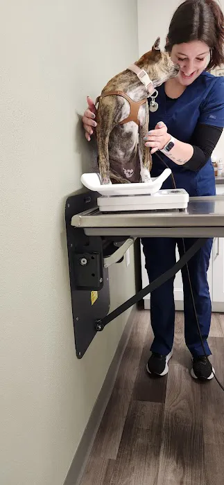 Sycamore Veterinary Hospital Picture 3