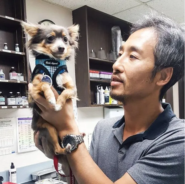 Rancho Sequoia Veterinary Hospital Picture 8