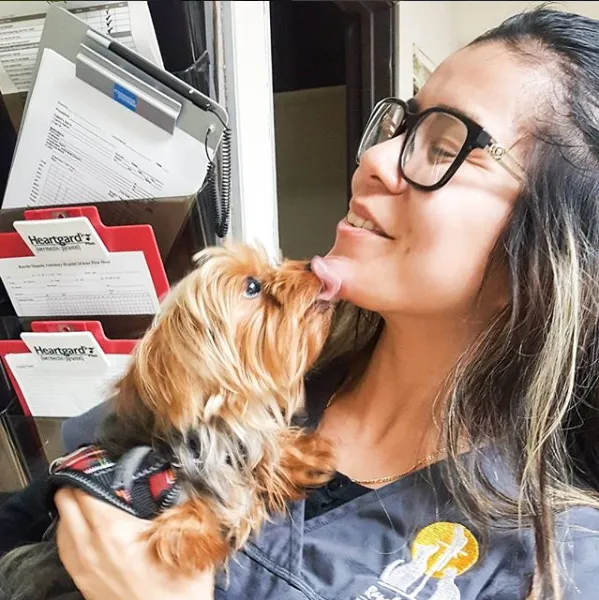 Rancho Sequoia Veterinary Hospital Picture 9