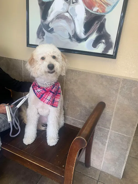 Canyon Lake Veterinary Hospital Picture 2