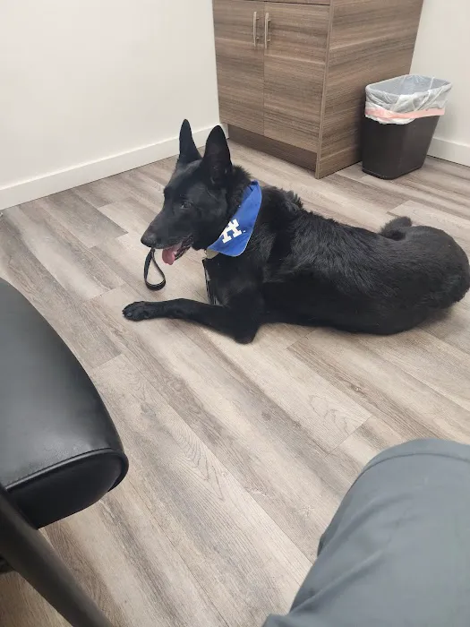 Canyon Lake Veterinary Hospital Picture 5