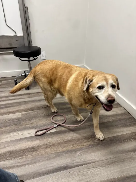 Canyon Lake Veterinary Hospital Picture 6