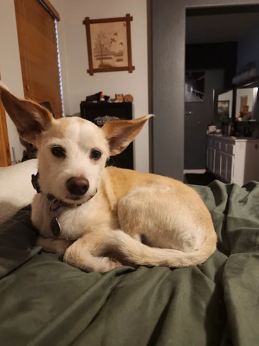 Canyon Lake Veterinary Hospital Picture 1