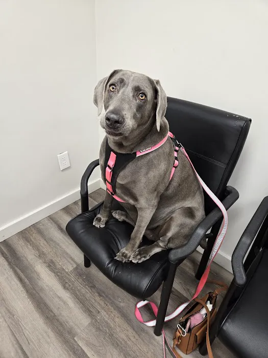 Canyon Lake Veterinary Hospital Picture 3