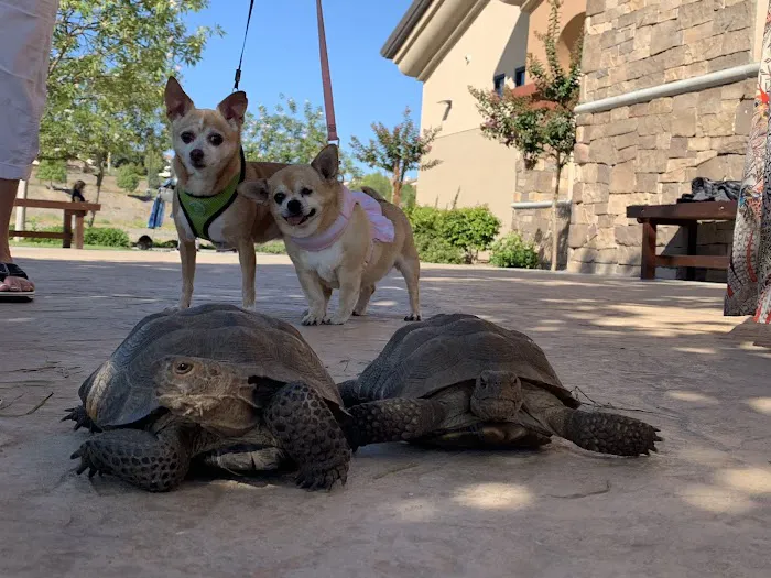 Canyon Lake Veterinary Hospital Picture 10