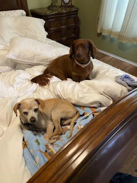 Canyon Lake Veterinary Hospital Picture 9