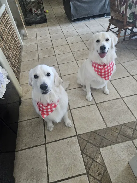 Canyon Lake Veterinary Hospital Picture 8