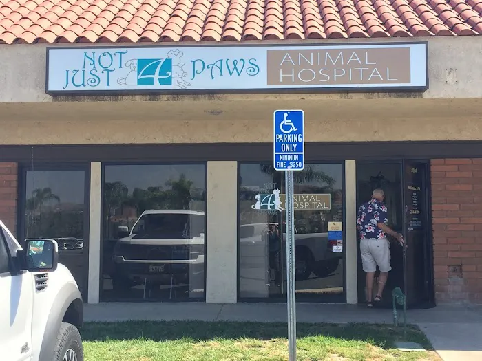 Not Just 4 Paws Animal Hospital Picture 9