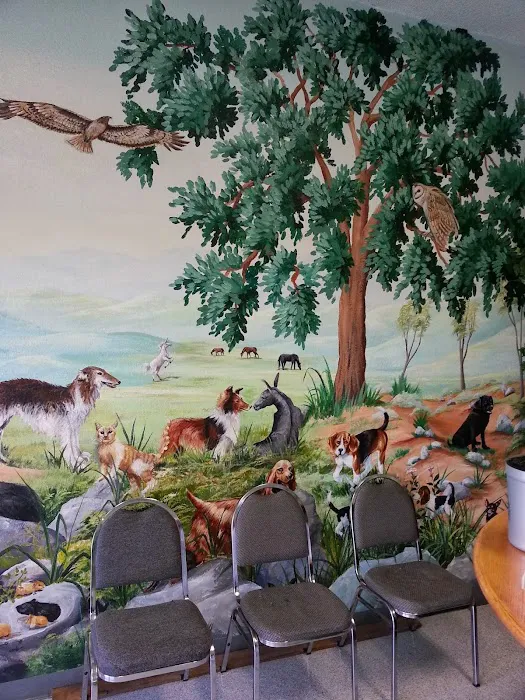 Not Just 4 Paws Animal Hospital Picture 10