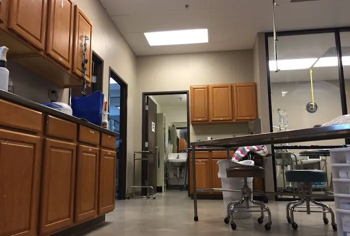 Lake Elsinore Animal Hospital at SoCalVetGroup Picture 4