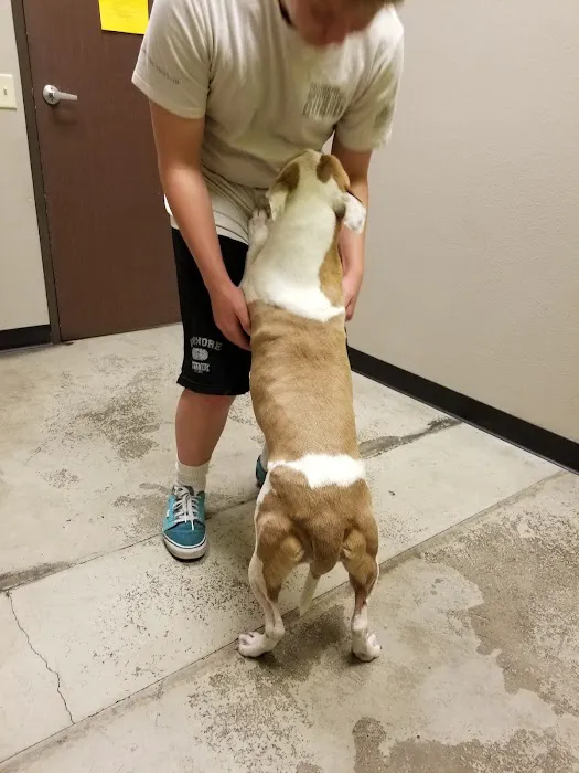 Lake Elsinore Animal Hospital at SoCalVetGroup Picture 6