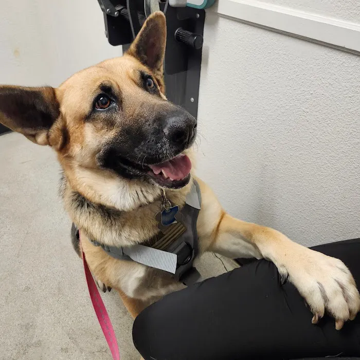 Lake Elsinore Animal Hospital at SoCalVetGroup Picture 8