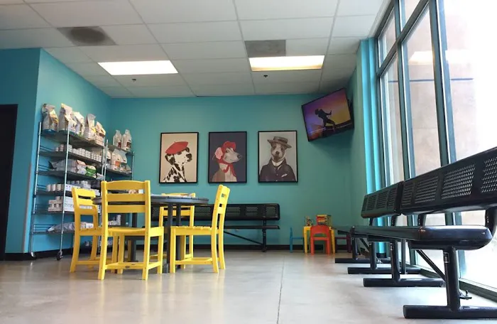 Lake Elsinore Animal Hospital at SoCalVetGroup Picture 9