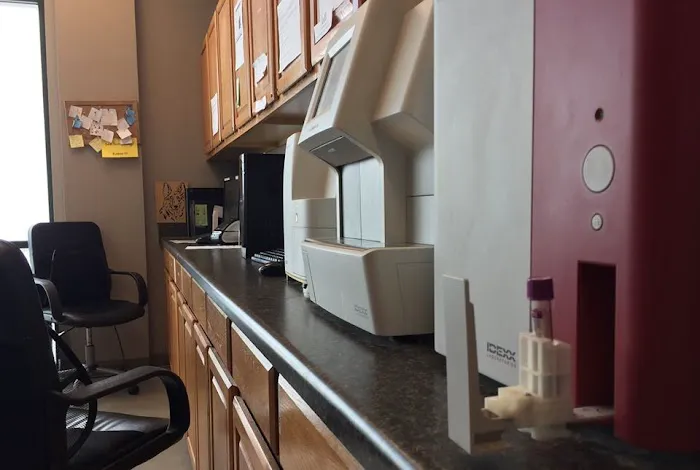 Lake Elsinore Animal Hospital at SoCalVetGroup Picture 10