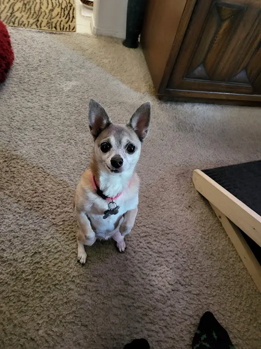 Perris Valley Veterinary Clinic Picture 2