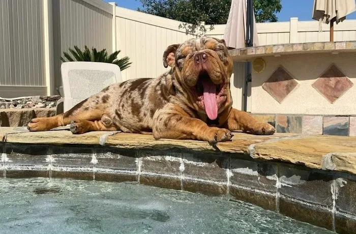 Perris Valley Veterinary Clinic Picture 1