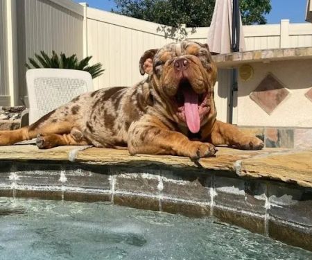 Perris Valley Veterinary Clinic