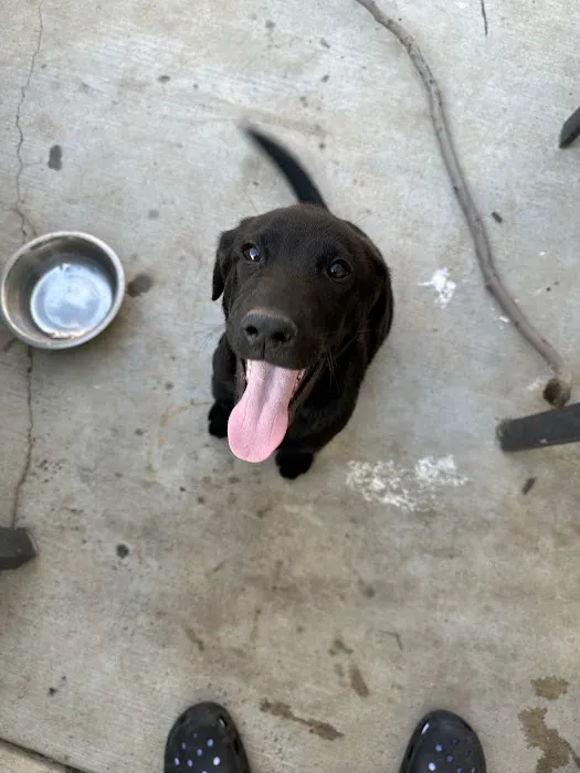 Perris Valley Veterinary Clinic Picture 6