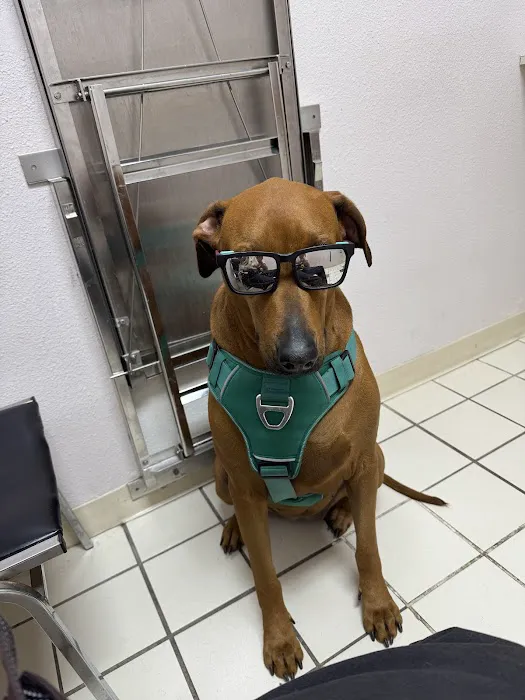 Perris Valley Veterinary Clinic Picture 5