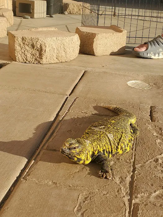 Perris Valley Veterinary Clinic Picture 8