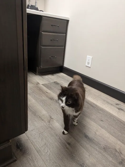 Mountainview Small Animal Hospital Picture 3