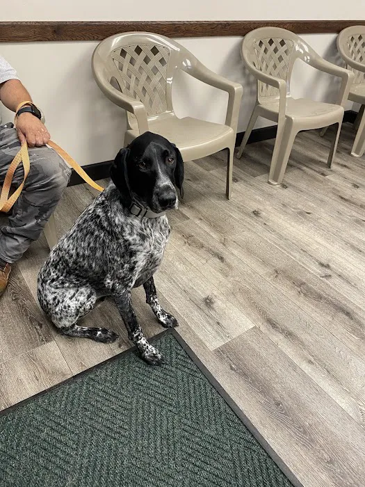 Mountainview Small Animal Hospital Picture 4