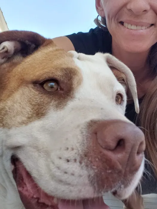 Animal Friends of the Valleys Spay & Neuter Clinic Picture 5